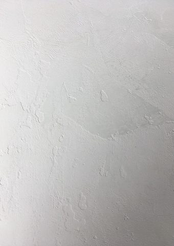 Detail: Textured Venetian Plaster